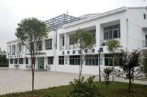 买球：上海片区金丽温打造”美丽项目部”