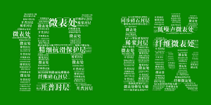 买球邀您共享低碳“盛宴”